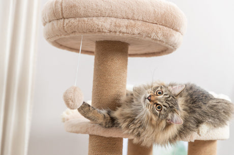 PHO_PRO_CAT_44474-4