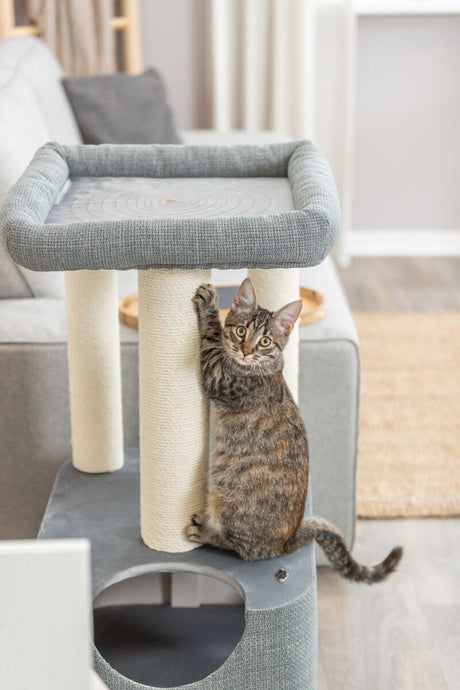 Eine getigerte Katze steht an einem Kratzbaum mit beigen Sisal-Säulen und grauen Textilflächen im Wohnzimmer.