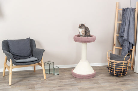 PHO_PRO_CAT_44476-2