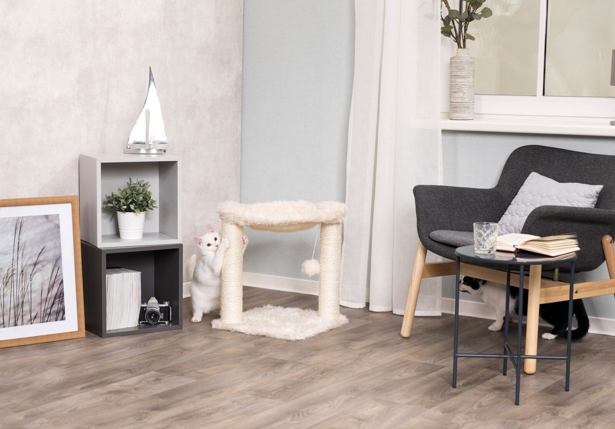 Ein weißes Kätzchen spielt an einem beigen Kratzbaum, daneben ein grauer Würfel mit Pflanze und Dekorationen.