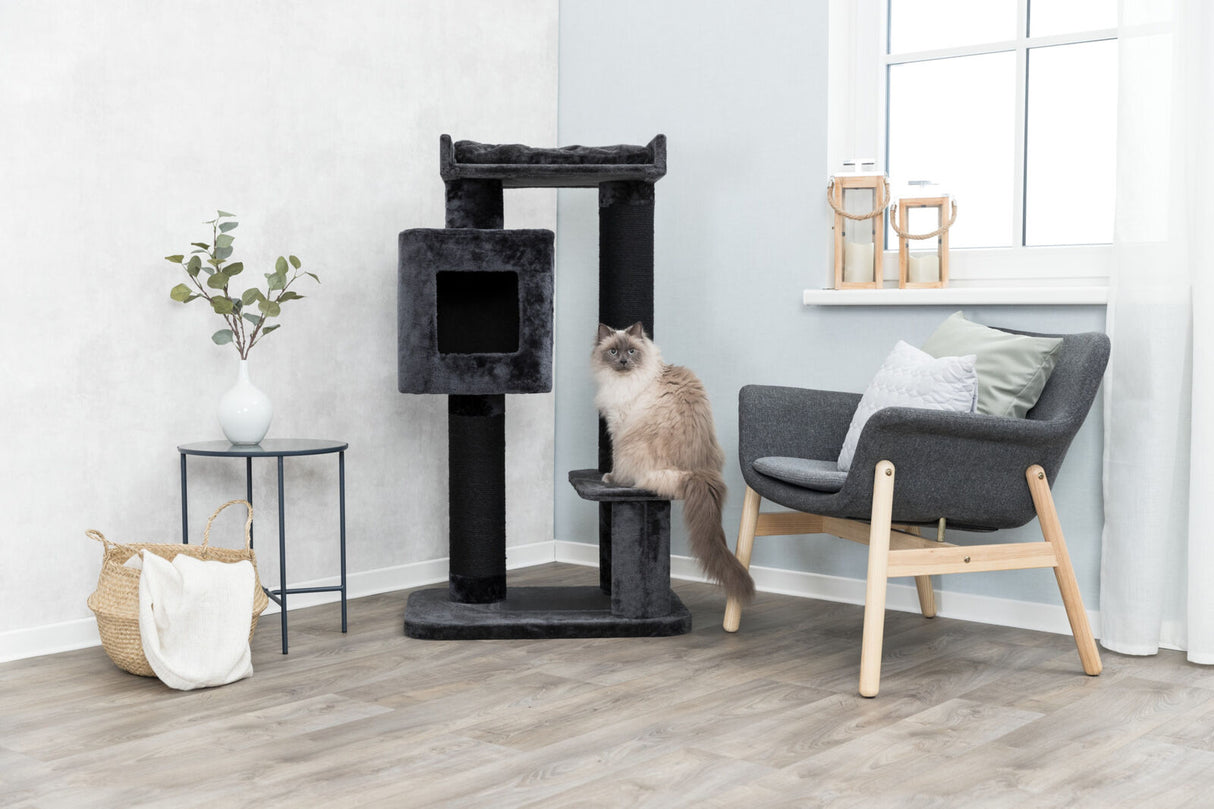 Grauer Kratzbaum in modernem, hellem Raum mit Katze, schwarzem Stuhl, kleinem Tisch mit Pflanze und Korb.