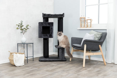 Grauer Kratzbaum in modernem, hellem Raum mit Katze, schwarzem Stuhl, kleinem Tisch mit Pflanze und Korb.