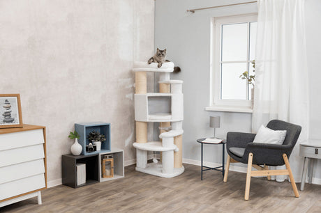 Wohnraum mit Kratzbaum, auf dem eine graue Katze liegt, grauer Sessel, weißer Vorhang, Holzboden, Fenster, Dekoration, Kommode.