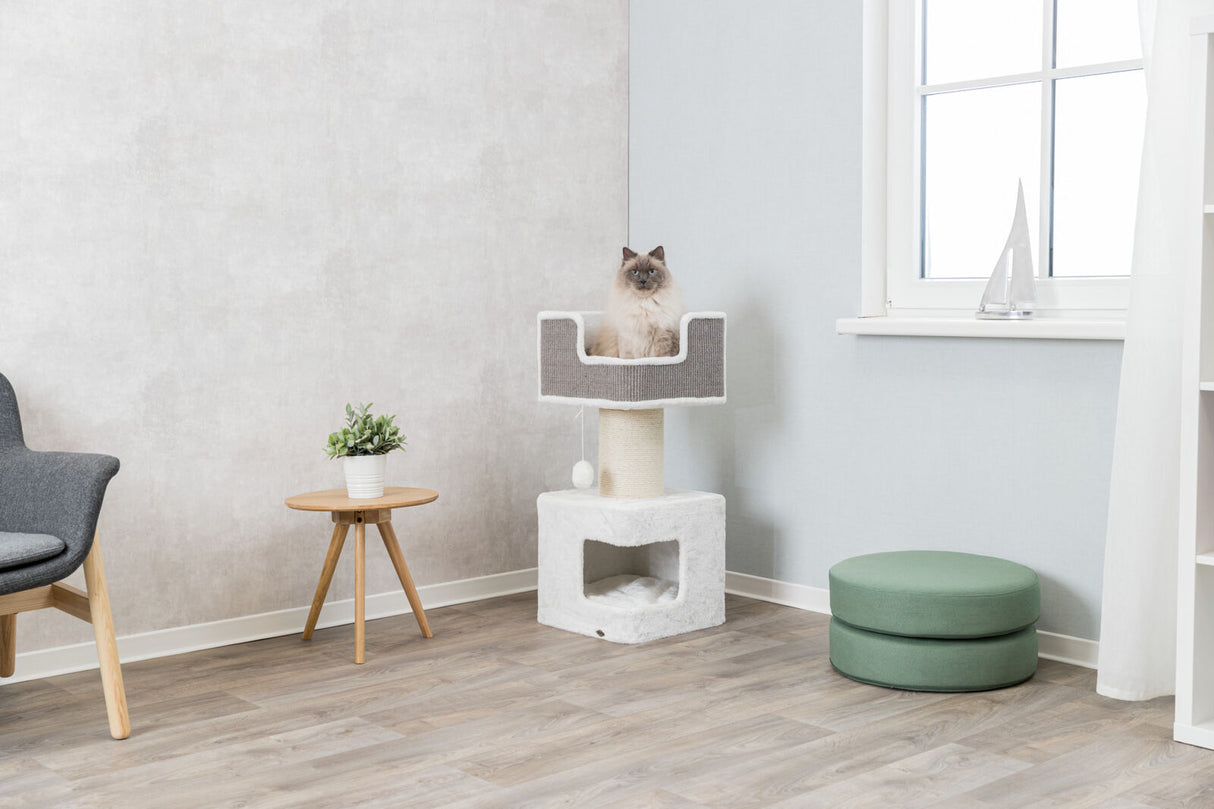 In einem modernen Raum steht ein Kratzbaum mit einer Katze darauf, daneben ein kleiner Tisch mit Pflanze.