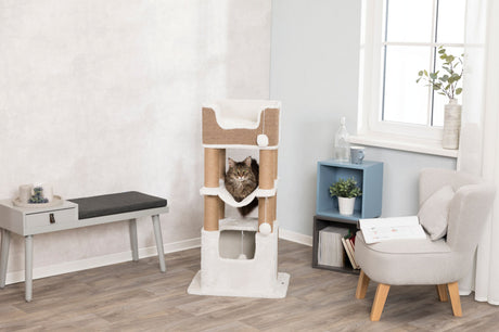 Ein Wohnzimmer mit Kratzbaum, auf dem eine Katze sitzt, daneben eine graue Sitzbank, ein kleiner Tisch und ein Sessel.