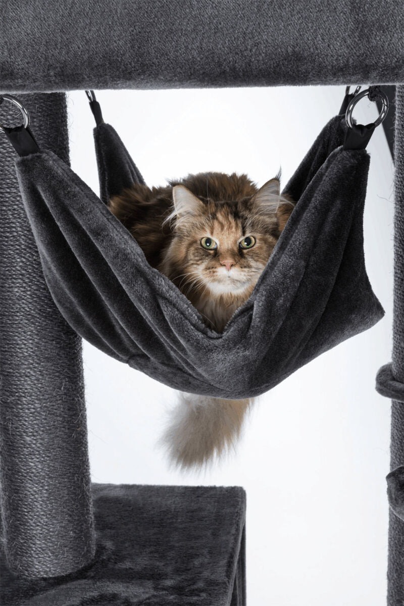 PHO_PRO_CAT_44670-3