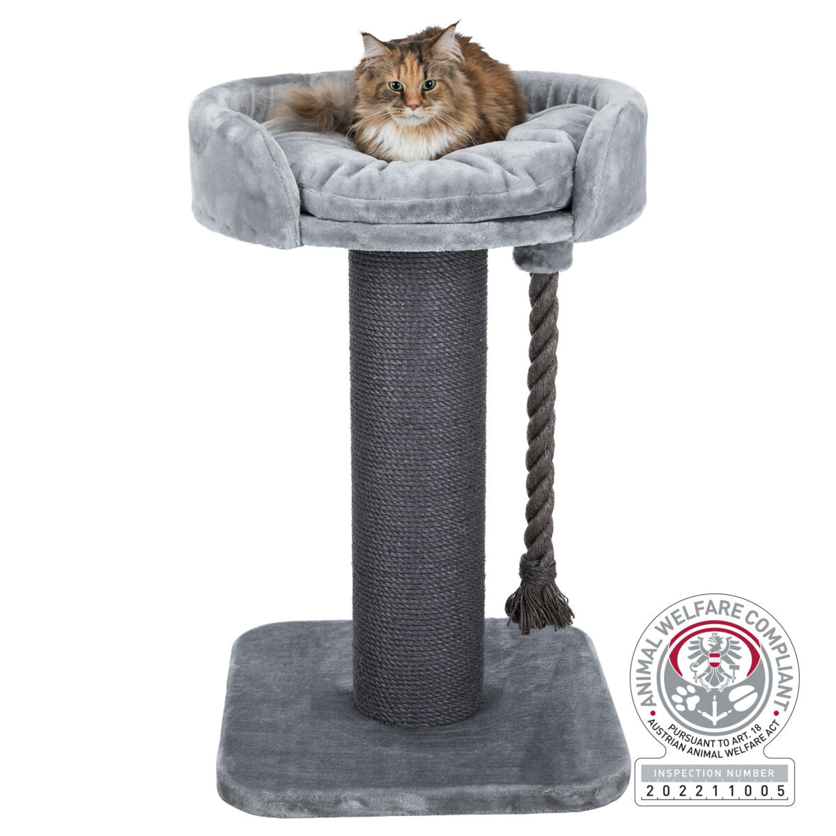 PHO_PRO_CAT_44676-2