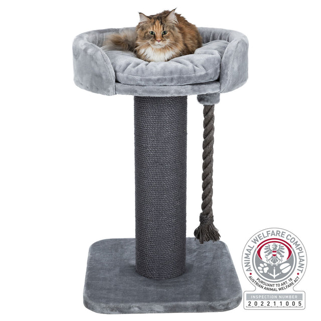 PHO_PRO_CAT_44676-2