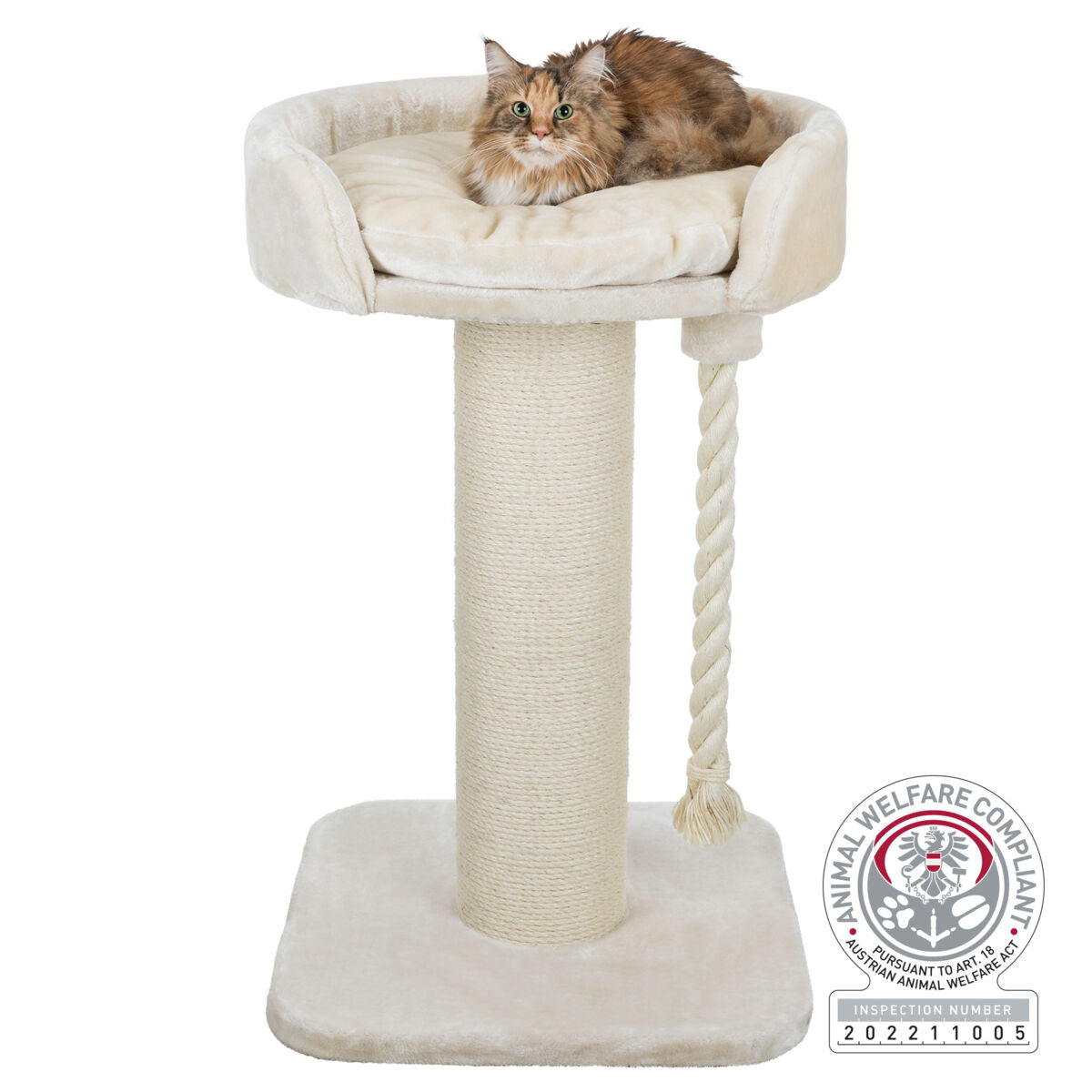 PHO_PRO_CAT_44677-2