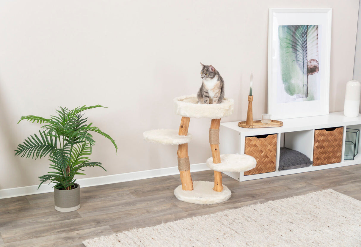PHO_PRO_CAT_44714-1