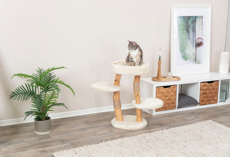 PHO_PRO_CAT_44714-1