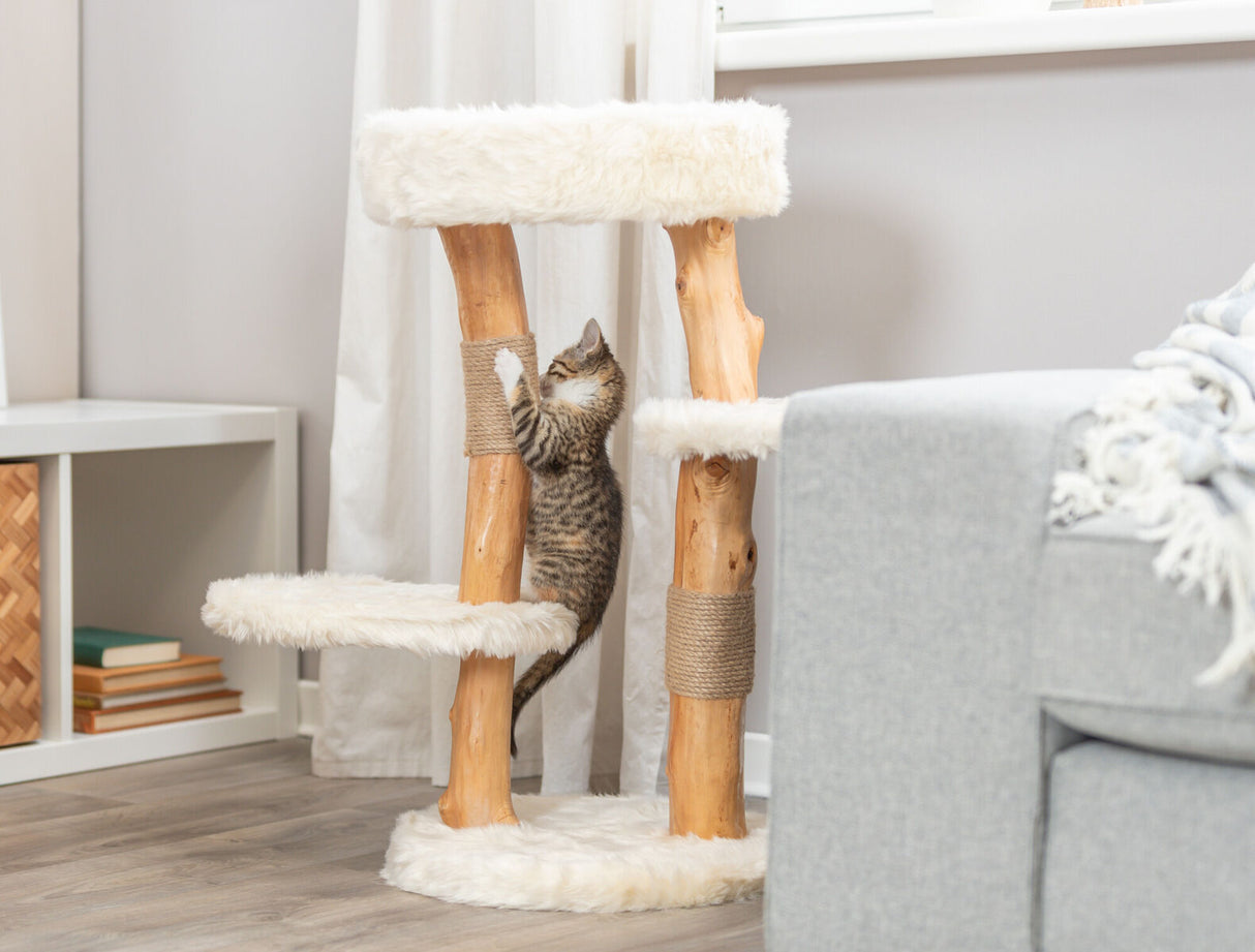 Kleines Kätzchen klettert an einem Kratzbaum aus naturfarbenem Holz mit weißem Plüsch in einem Wohnzimmer hoch.