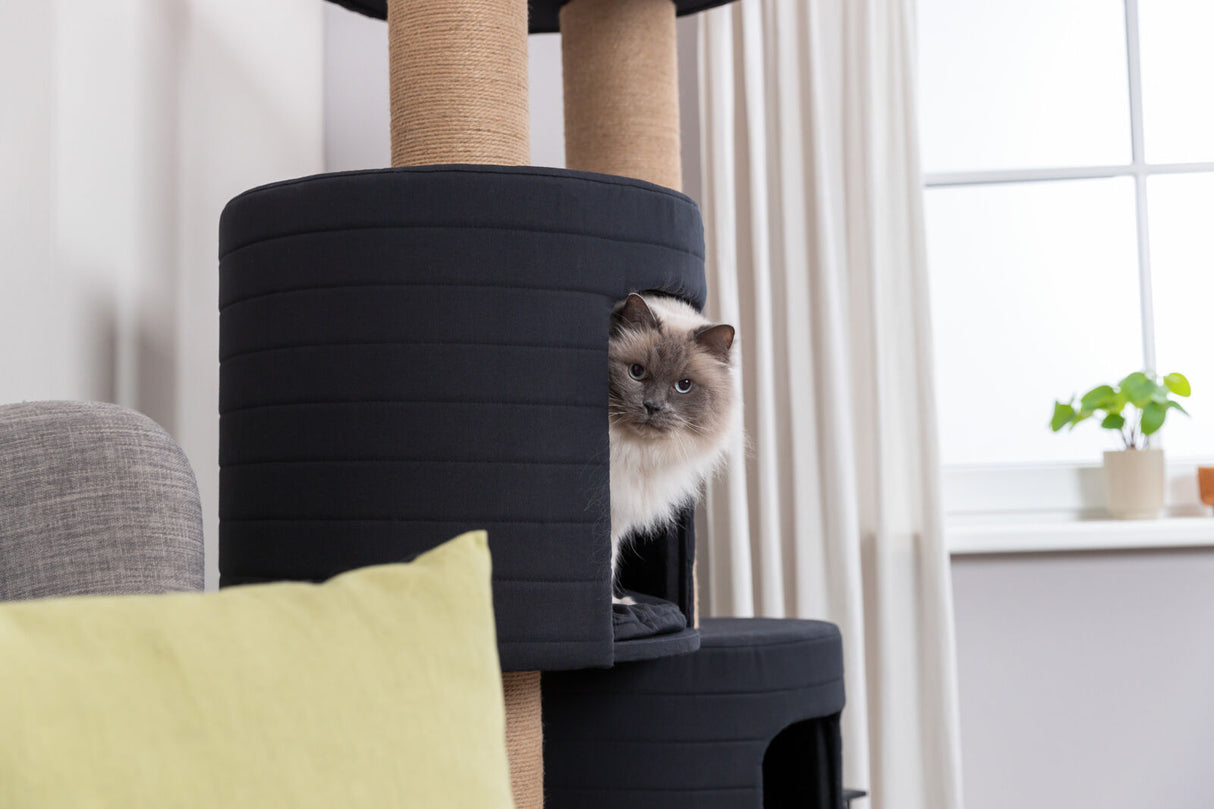 PHO_PRO_CAT_44719-4