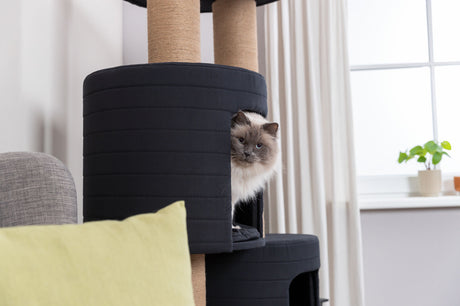 PHO_PRO_CAT_44719-4