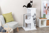 PHO_PRO_CAT_44721-6