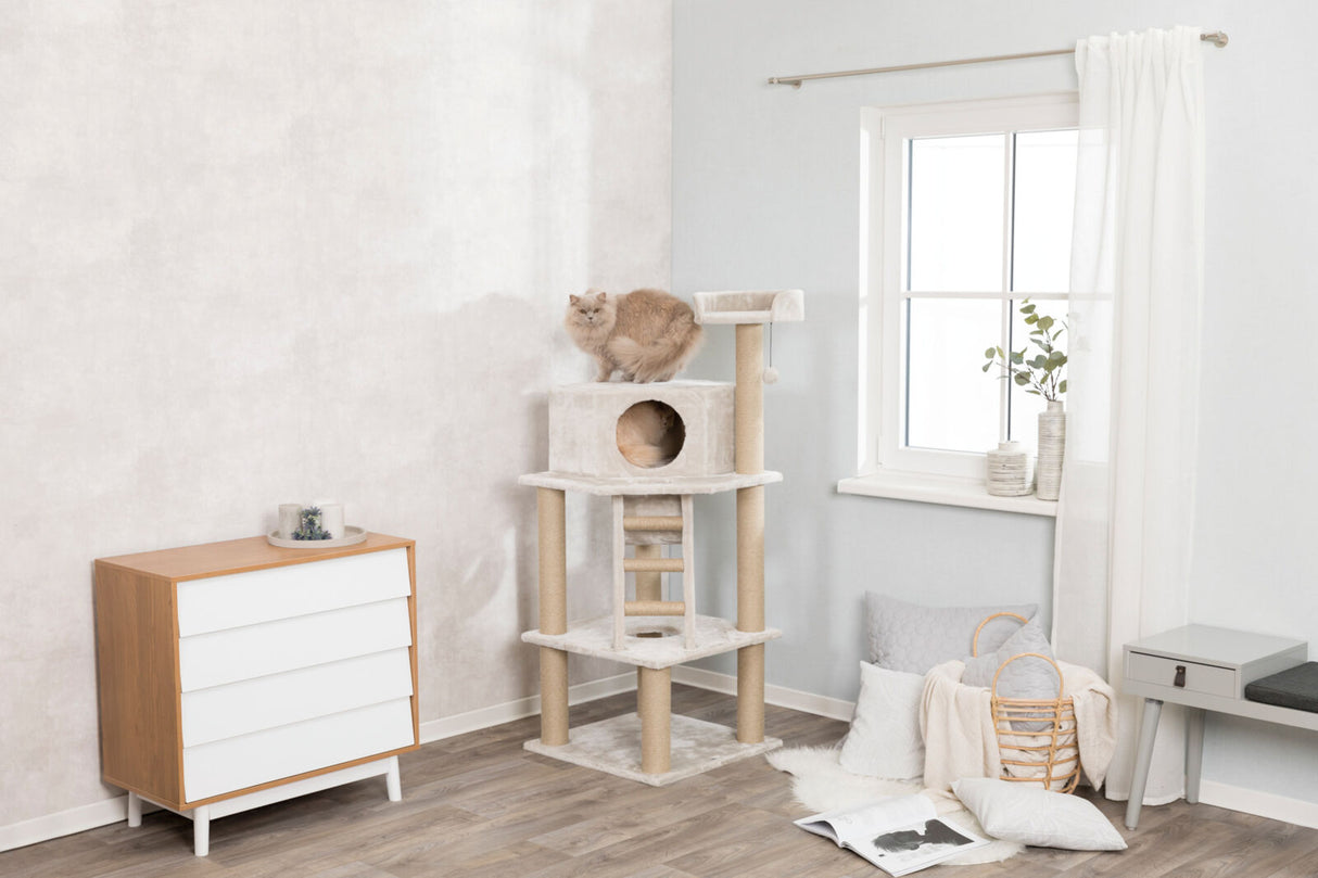 Eine beige Katze sitzt auf einem hellen Kratzbaum neben einem Fenster, links ein Holztisch mit Dekoration.