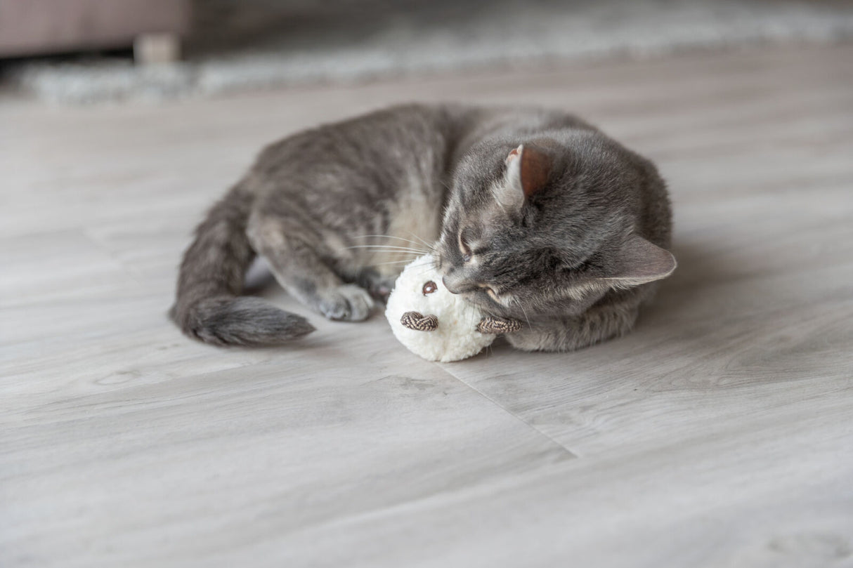 Eine graue Katze liegt auf einem Holzboden und kuschelt mit einem weißen Plüschspielzeug.