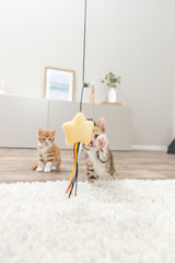 Spielangel mit Stern