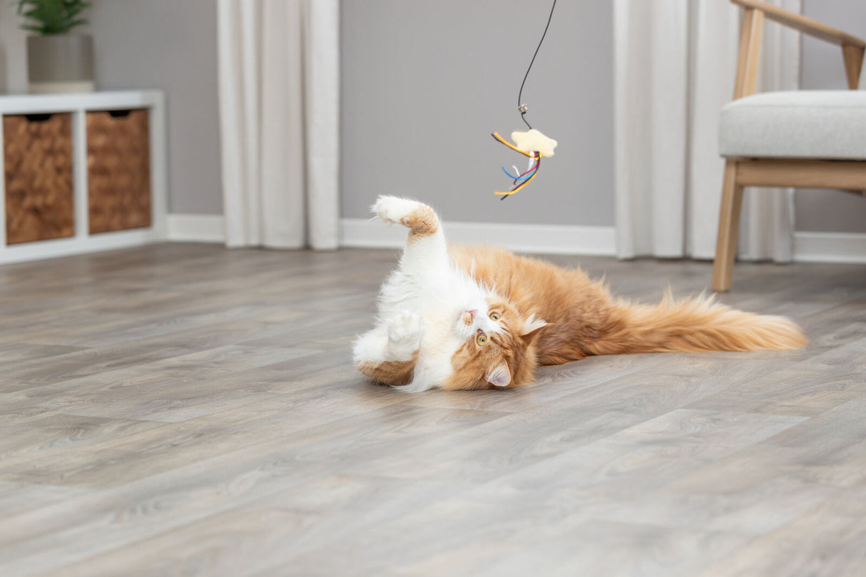 PHO_PRO_CAT_45617-2