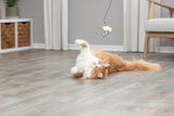 PHO_PRO_CAT_45617-2