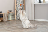 PHO_PRO_CAT_45619-1