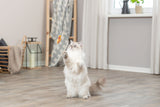 PHO_PRO_CAT_45619-2