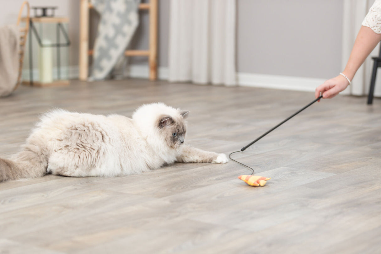 PHO_PRO_CAT_45619-3