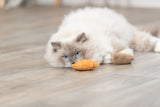 PHO_PRO_CAT_45664-3