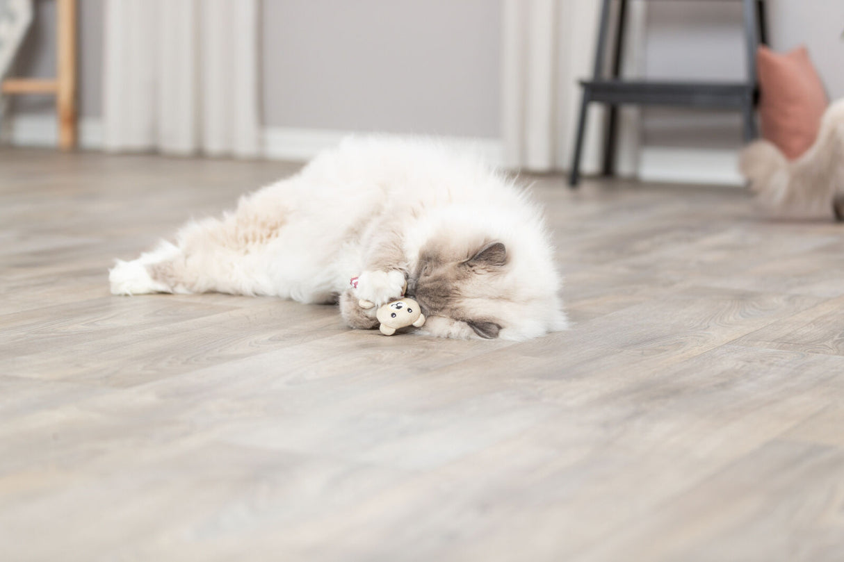 Eine flauschige Katze liegt auf einem Holzfußboden und spielt mit einem kleinen, beigen Stofftier.
