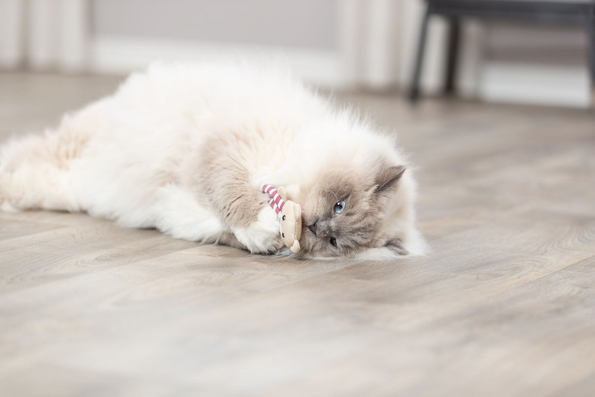 PHO_PRO_CAT_45665-2