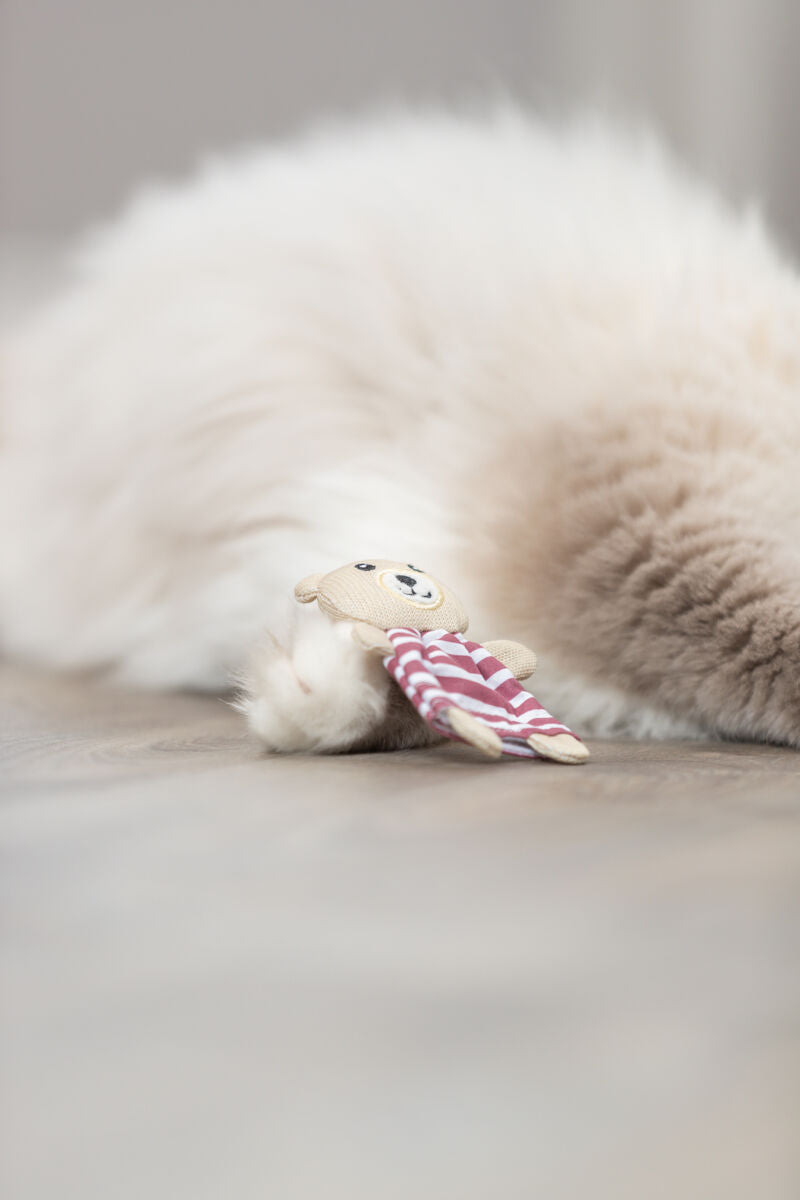 PHO_PRO_CAT_45665-3