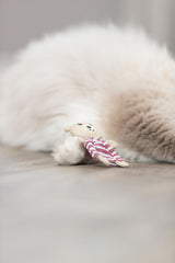 PHO_PRO_CAT_45665-3