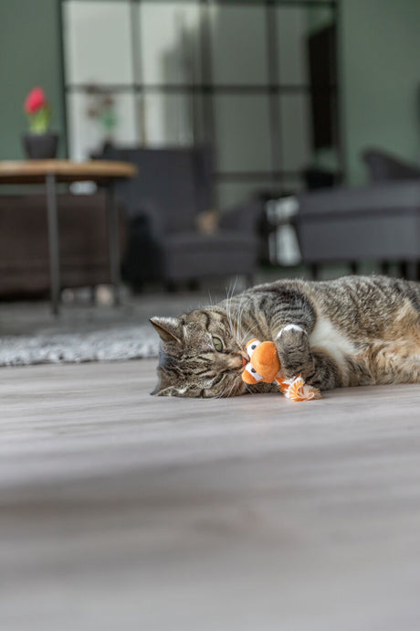 Eine getigerte Katze liegt auf dem Boden und spielt mit einem orangefarbenen Stoffspielzeug in einem Wohnzimmer.