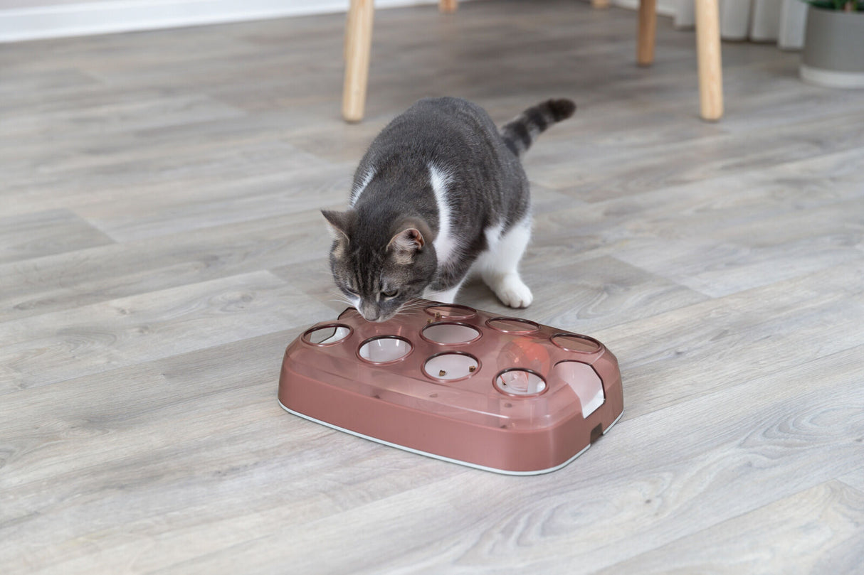 PHO_PRO_CAT_45880-2