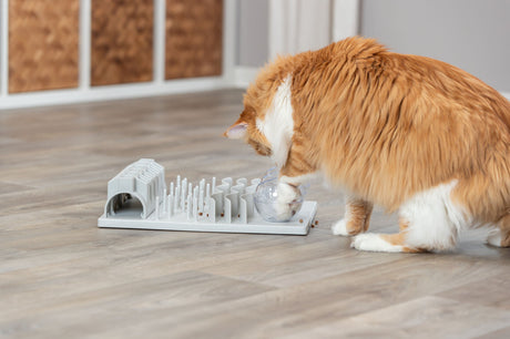 PHO_PRO_CAT_45891-3