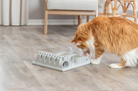 PHO_PRO_CAT_45891-4