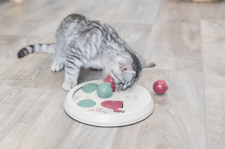 PHO_PRO_CAT_45892-8