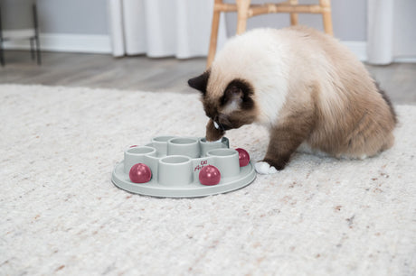 PHO_PRO_CAT_45895-5