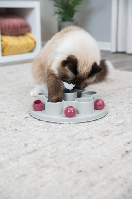 PHO_PRO_CAT_45895-7