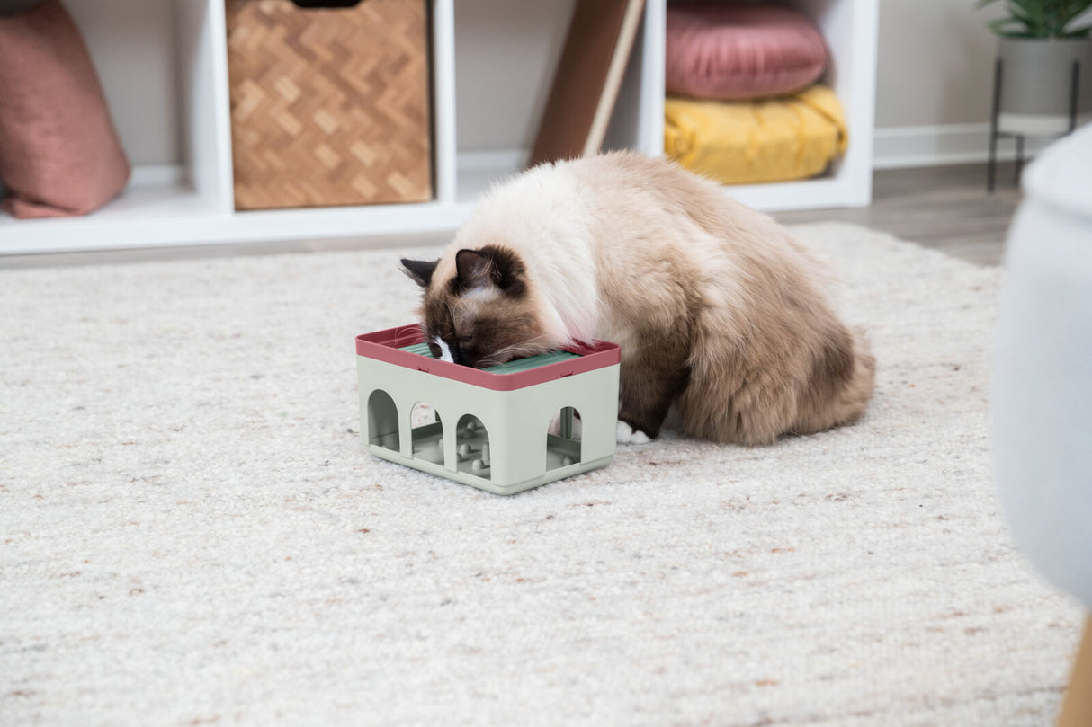 PHO_PRO_CAT_45896-3