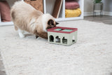 PHO_PRO_CAT_45896-4