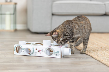 PHO_PRO_CAT_45930-10