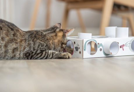 PHO_PRO_CAT_45930-12