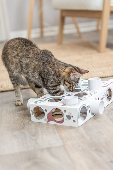 PHO_PRO_CAT_45930-9