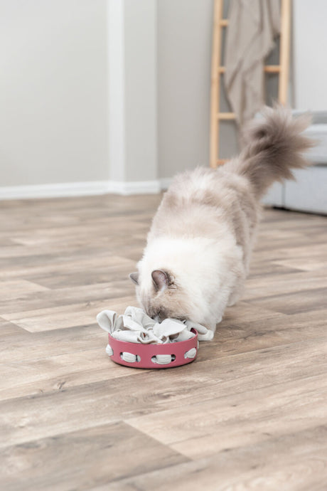 PHO_PRO_CAT_45931-2