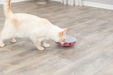PHO_PRO_CAT_45933-1