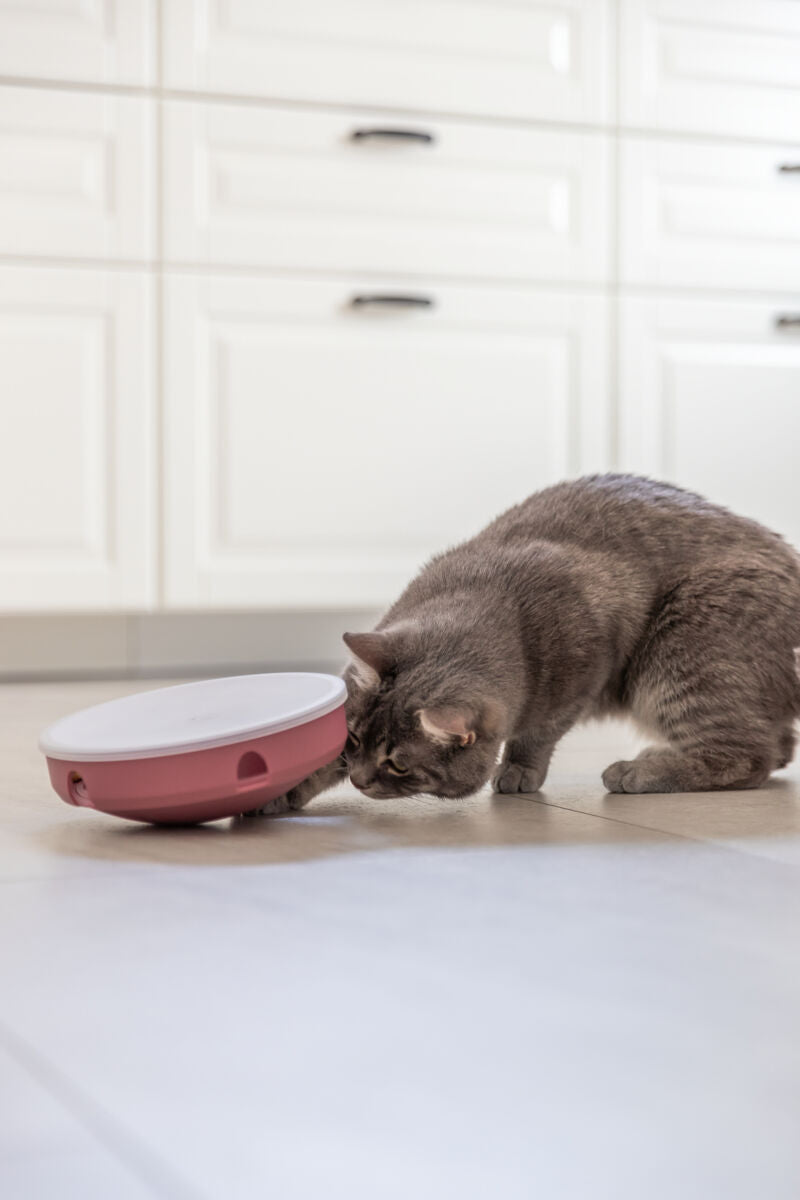 PHO_PRO_CAT_45933-5