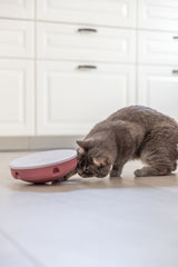 PHO_PRO_CAT_45933-5