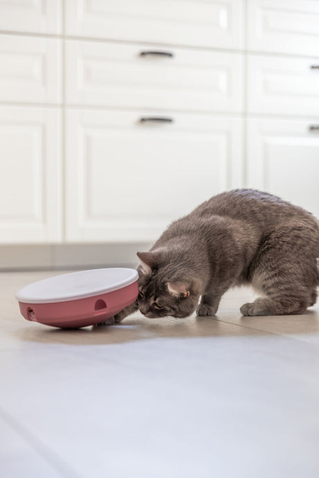 PHO_PRO_CAT_45933-5