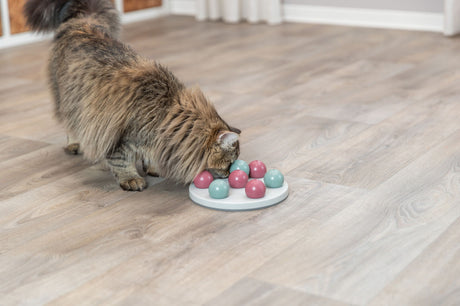 PHO_PRO_CAT_4594-3